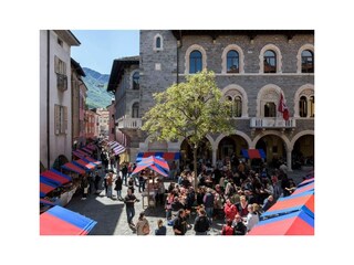 Holiday apartment Bellinzona Outdoor Recording 14