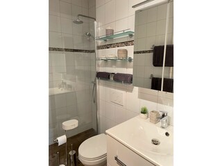 Holiday apartment Brissago Outdoor Recording 12