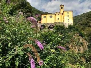 Holiday apartment Brissago Outdoor Recording 24