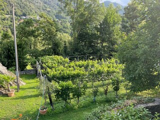 Holiday house Cavigliano Outdoor Recording 22