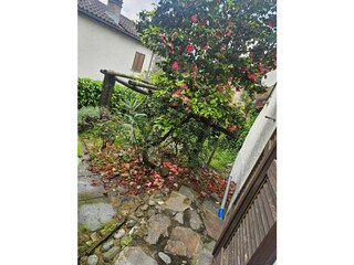 Holiday house Vira Outdoor Recording 39