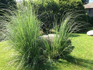 Ferienwohnung Ascona Außenaufnahme 7