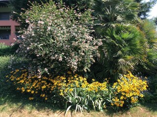 Ferienwohnung Ascona Außenaufnahme 9