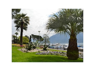 Ferienwohnung Locarno-Muralto Außenaufnahme 7