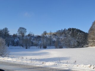 Winter Kahler Aste