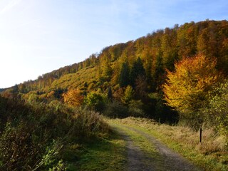 Herbst