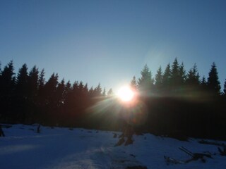 Schnee