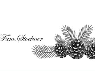 Appartamento per vacanze Feldthurns Documento 37