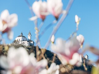 Appartamento per vacanze Feldthurns Registrazione all'aperto 11