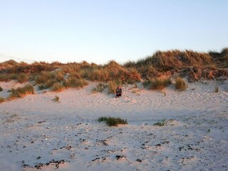Parc de vacances Læsø Enregistrement extérieur 2