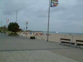 Strand in Damp