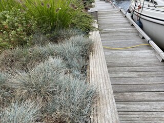 Vakantiehuis Lemmer Buitenaudio-opname 7