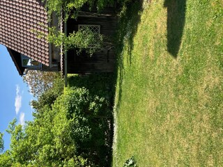 Garten mit Holzschuppen