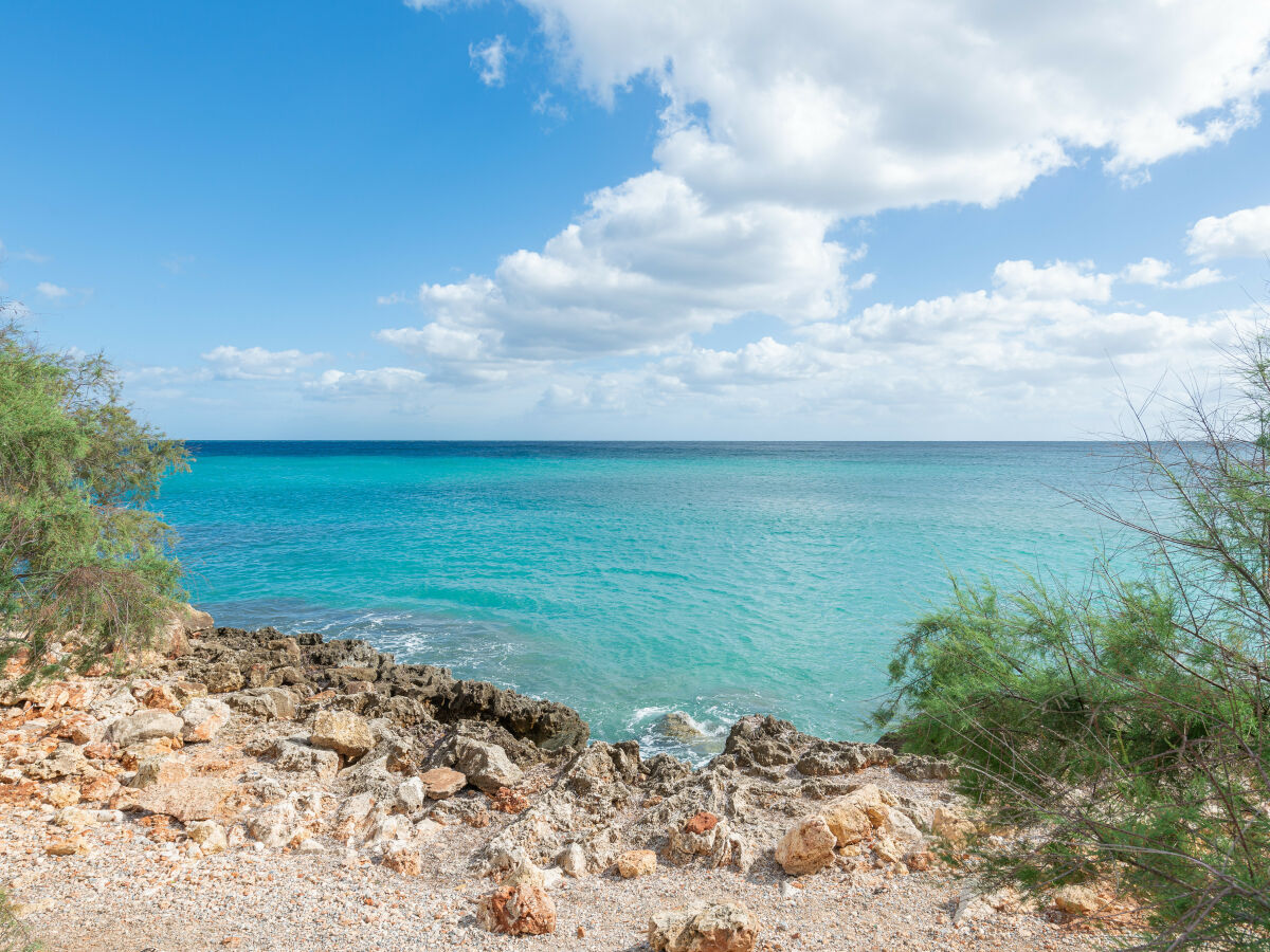 PLAYA CERCANA