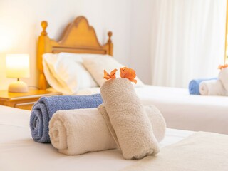 Villa Sa Coma Caratteristiche 37