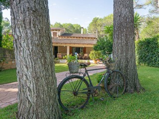 Villa Sa Pobla Registrazione all'aperto 11