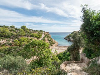 Appartement Calas de Mallorca Environnement 23