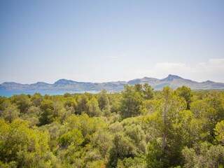 Villa Son Serra de Marina Entorno 41