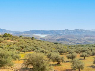Casa per le vacanze Periana Ambiente 27