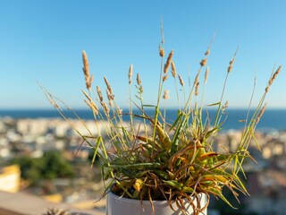 Apartamento Rincon de la Victoria Grabación al aire libre 13