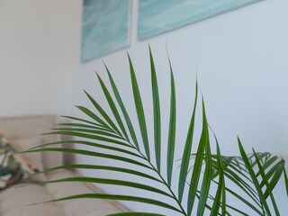 Apartamento Rincon de la Victoria Características 32