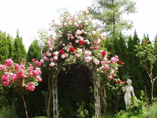 Rosenspalier