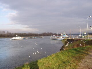 Rheinfähre n. Frankreich