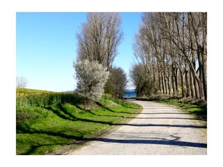 Casa per le vacanze Waabs Ambiente 17