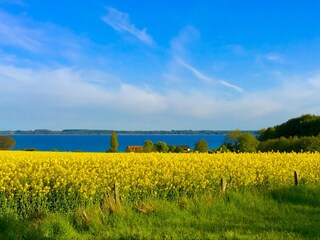 Casa per le vacanze Waabs Ambiente 16