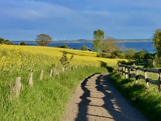 Casa per le vacanze Waabs Ambiente 27