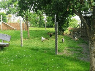 canva_IMG202406 (2)-min