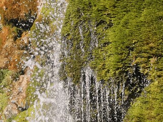 canva_IMG202406 (5)-min