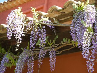 Holiday house Cotignac Environment 21