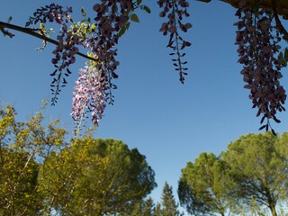 Casa per le vacanze Cotignac Ambiente 22