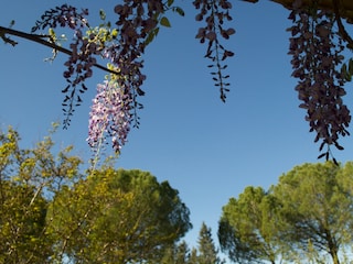 Holiday house Cotignac Environment 28