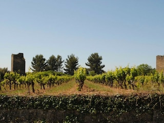Ferienhaus Cotignac  35