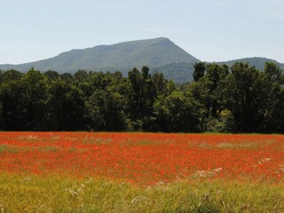 Casa per le vacanze Cotignac  32