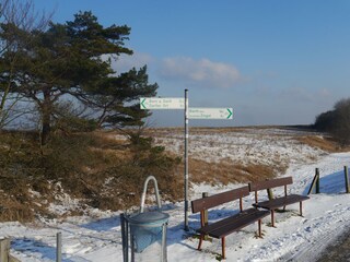 Ruhe im Winter