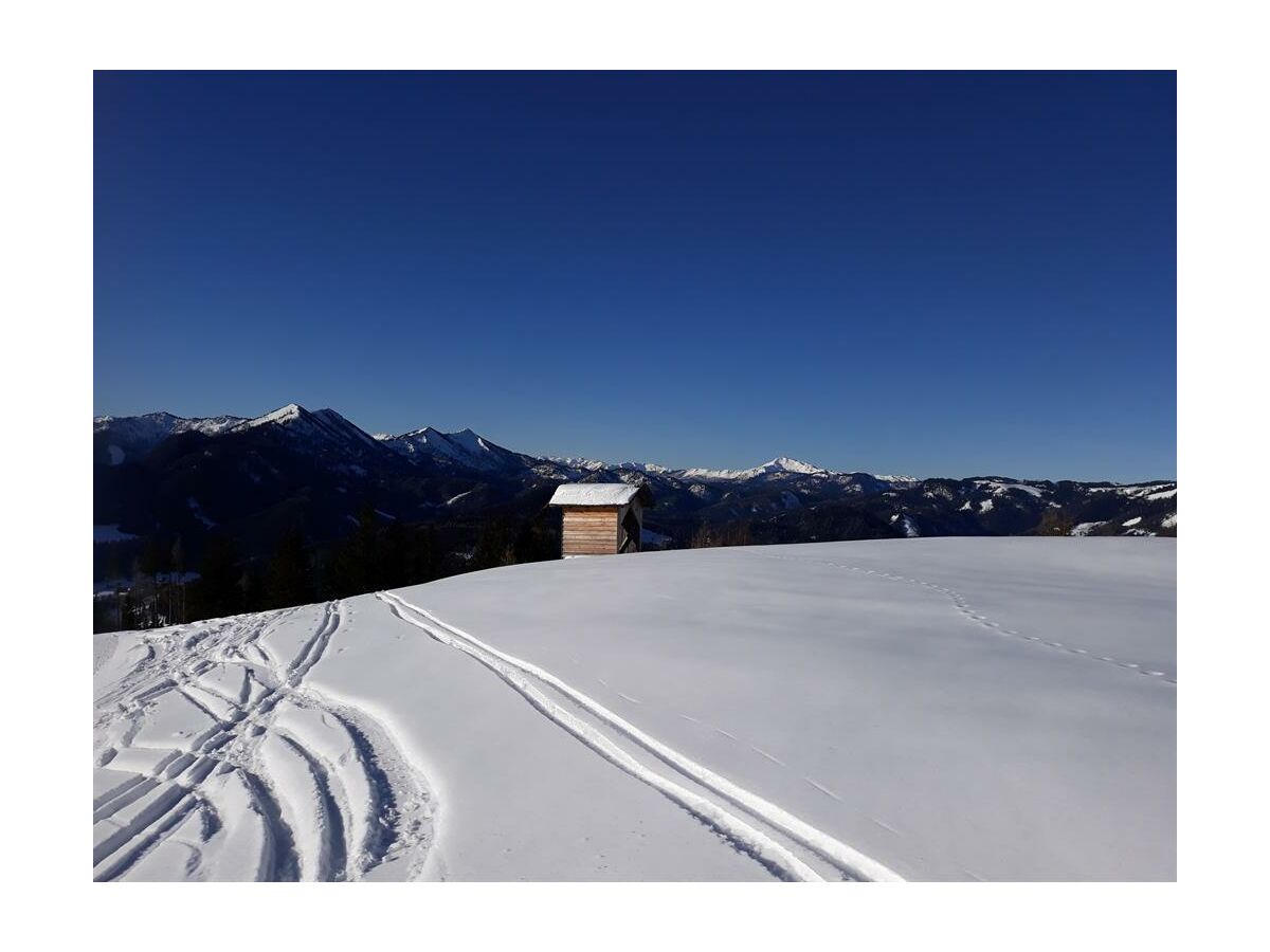 Auf der Mariazeller Bürgeralpe