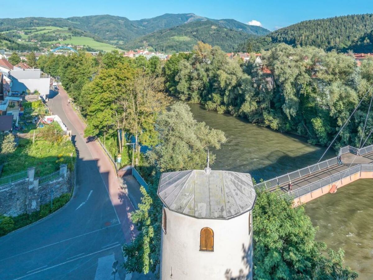 Ausblick auf die Mur