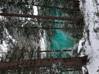 grüner See