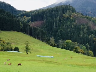 Aussicht