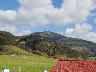 Ausblick