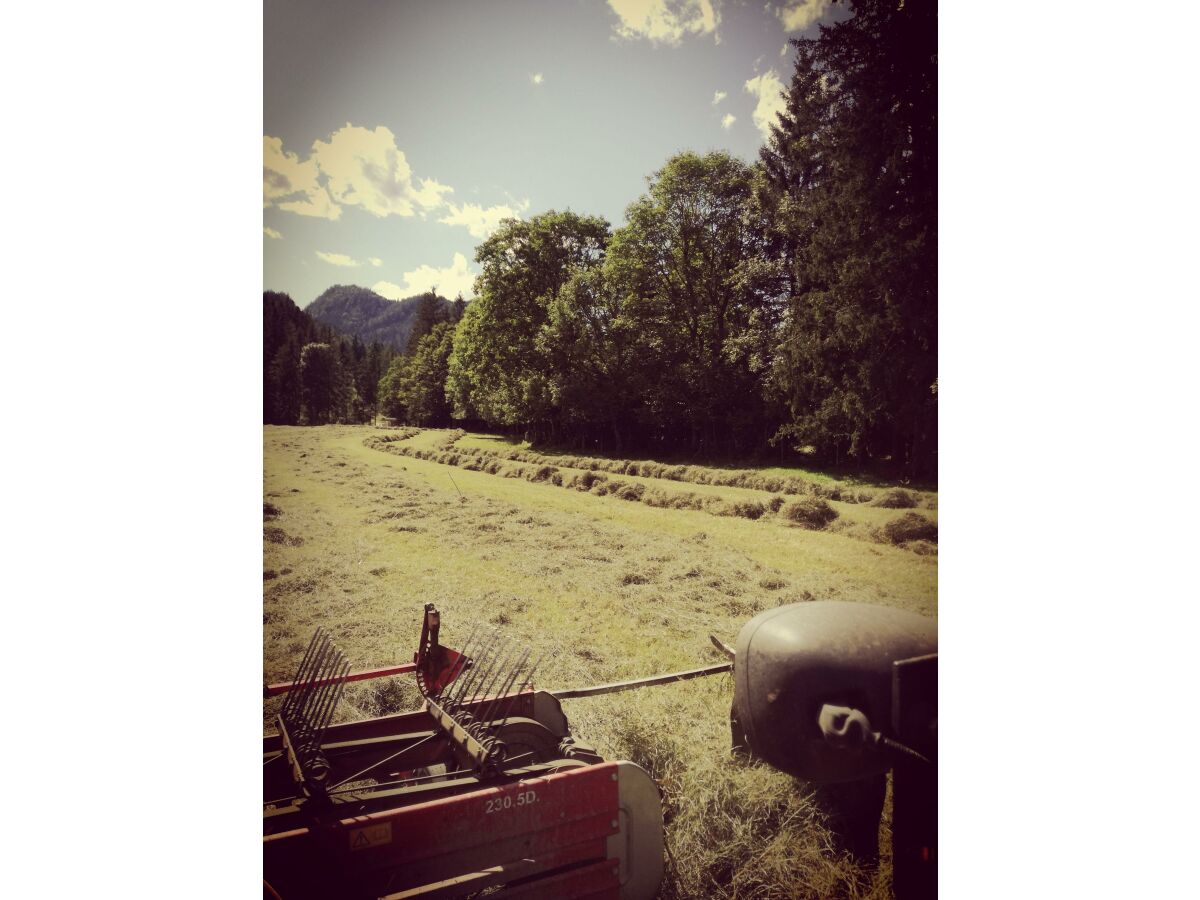 Heuarbeit im Sommer