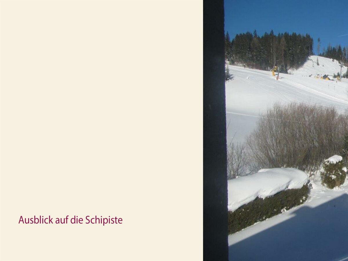 WinterSCHIpiste