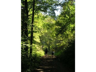 Herbstlicher Sonnenweg