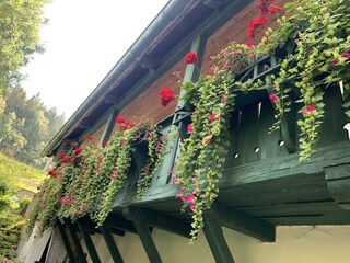 Außenansicht Balkon Garten