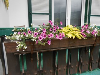 Vakantiekamer Aflenz Kenmerken 26