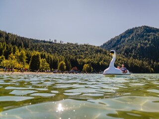 Erlaufsee