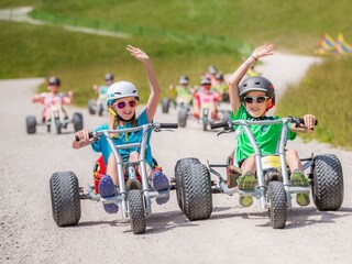 Mountaincarts Gemeindealpe